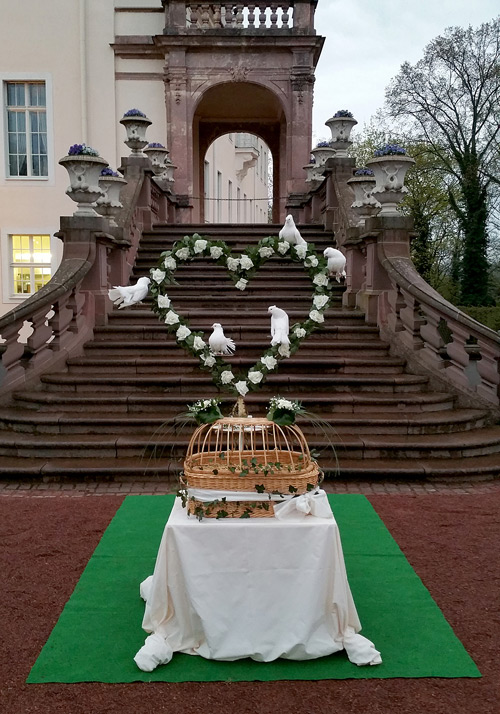 Hochzeitstauben Dresden vorm Schloss Lichtenwalde