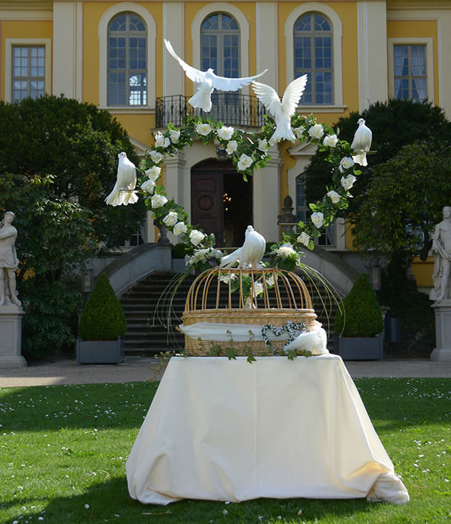 Foto von der romantischen Variante vorm Barockschloss Rammenau